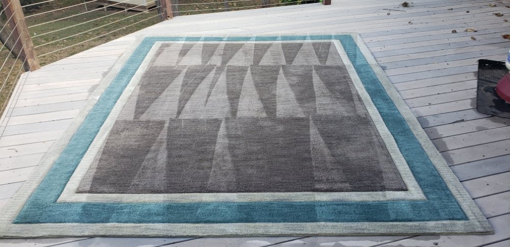 Photo of The Carpet Cleaner