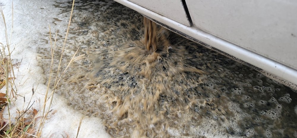 Photo of The Carpet Cleaner