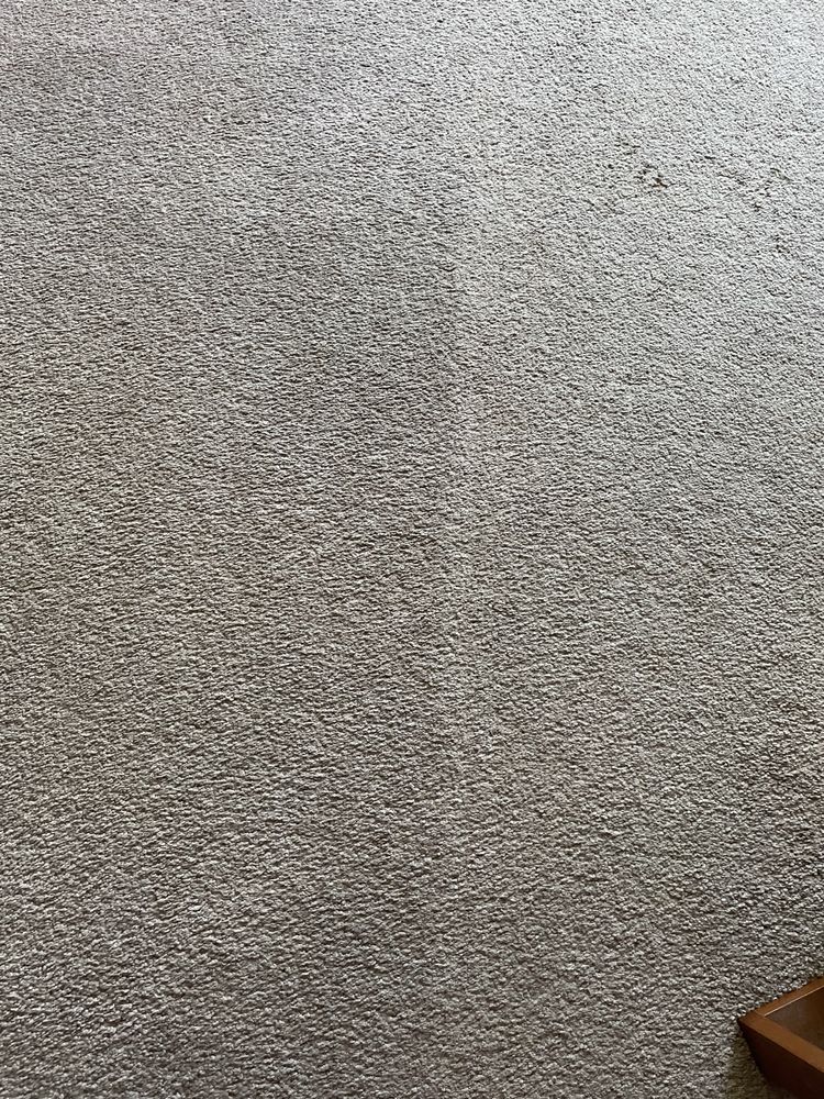 Photo of Eco Green Carpet Cleaning