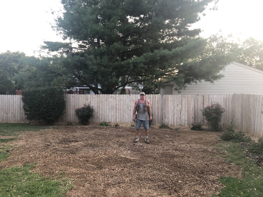 Photo of Stumps-B-Gone