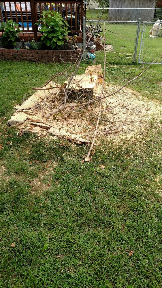 Photo of Stumps-B-Gone