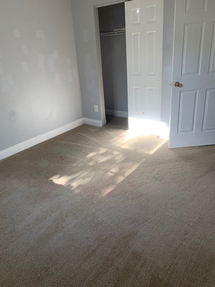 Photo of The Mean Green Carpet Clean