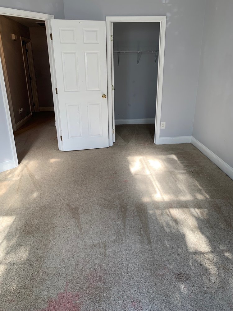 Photo of The Mean Green Carpet Clean