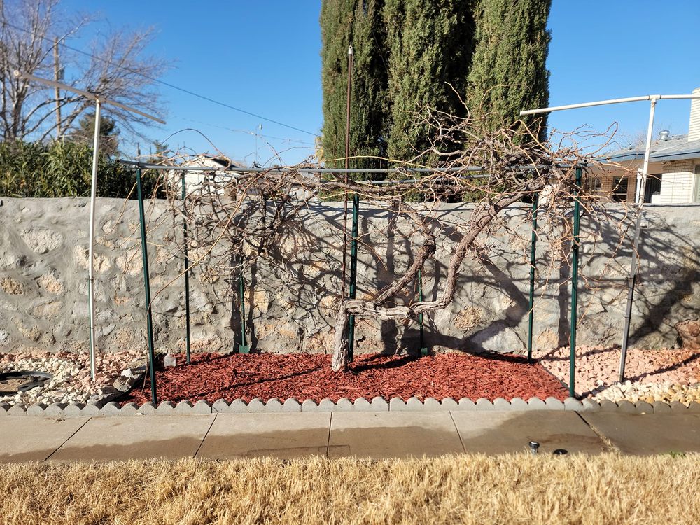 Photo of J B Lawn Care