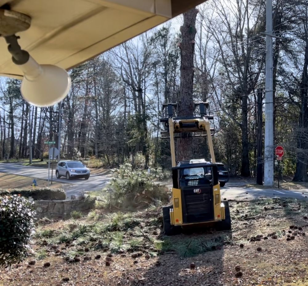 Photo of Jon's Tree Service