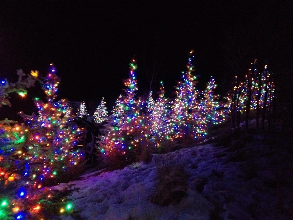 Photo of Christmas Lighters