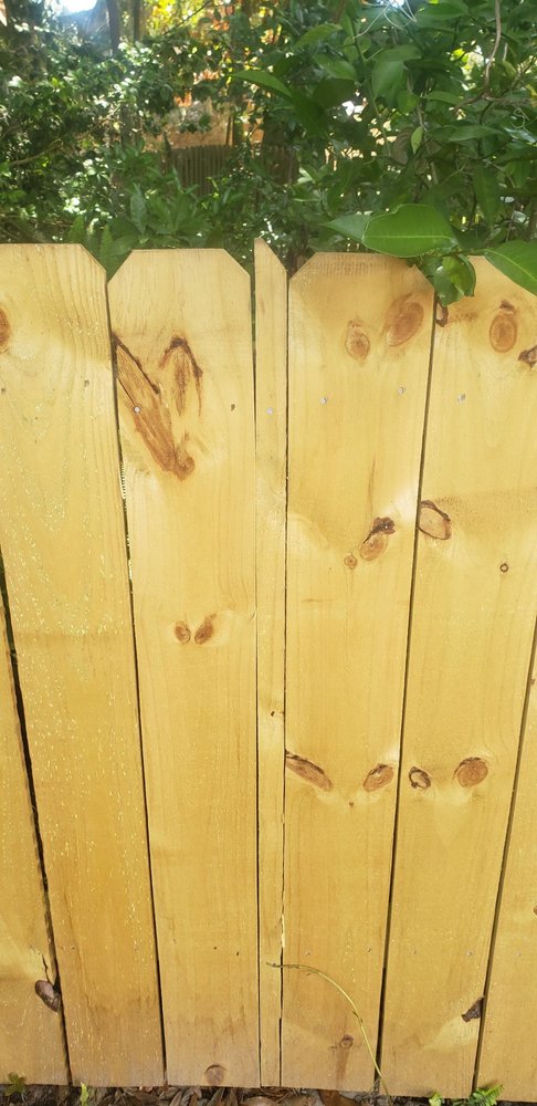 Photo of Bibb's Fencing