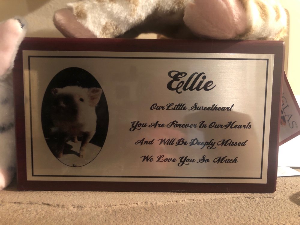 Photo of C & M Trophy