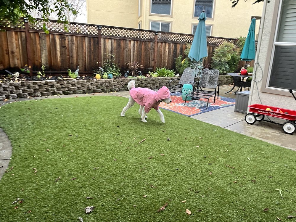 Photo of Artificial Grass Pros