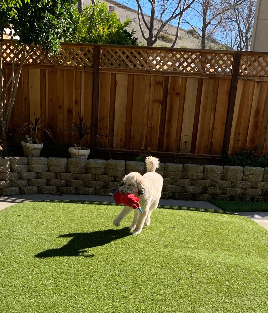 Photo of Artificial Grass Pros