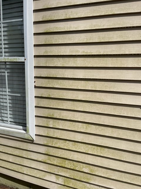 Photo of P7 Pressure Washing