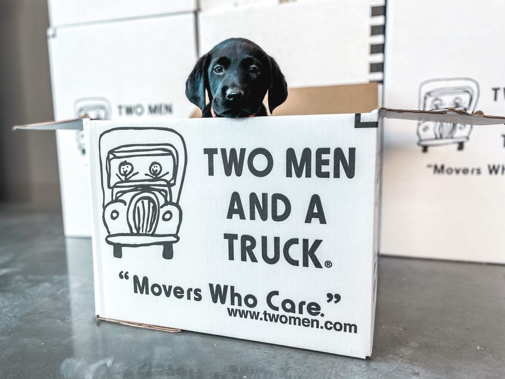 Photo of Two Men and a Truck