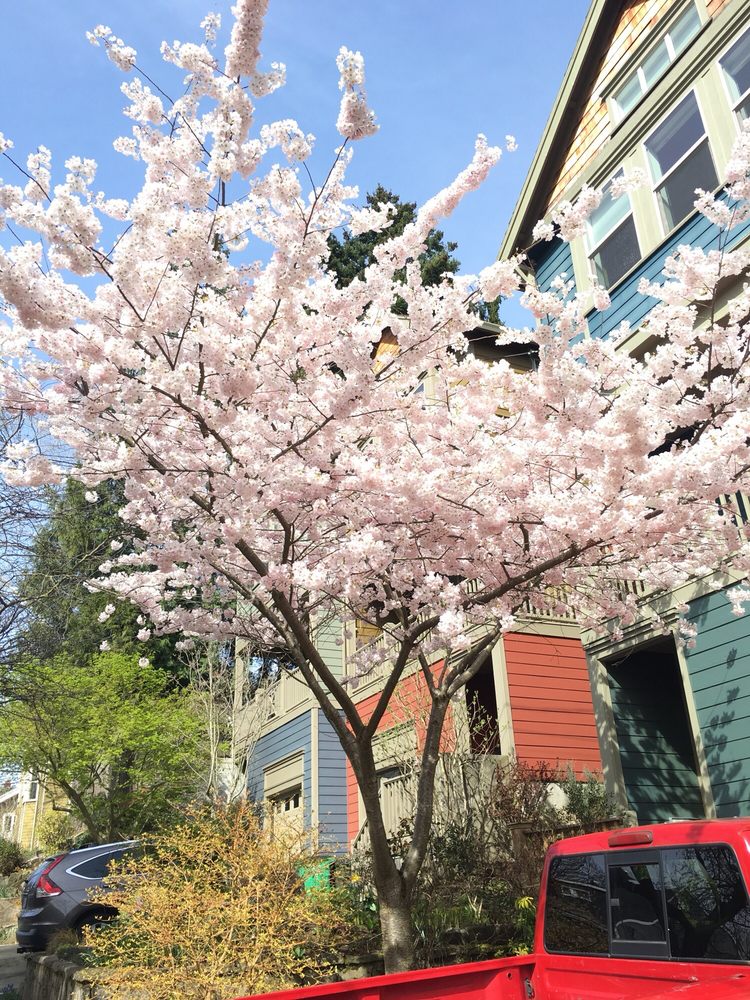 Photo of Lux Property Management