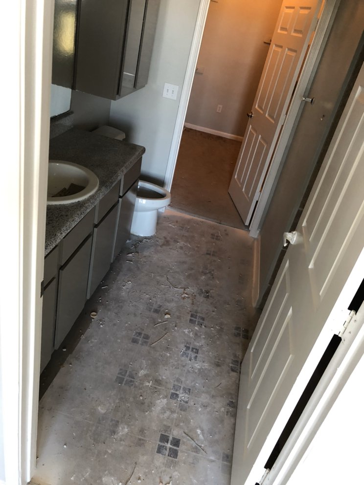 Photo of AVA Flooring