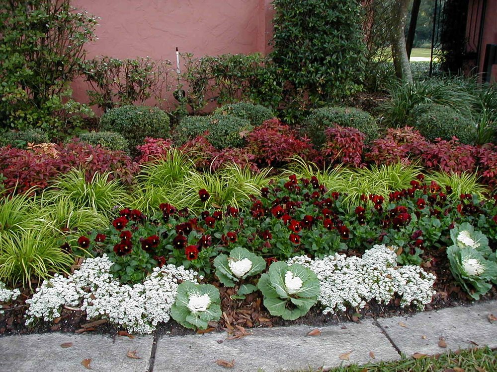 Photo of The Landscape Express
