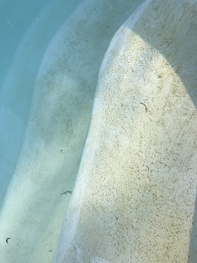 Photo of Contra Costa Pool Service
