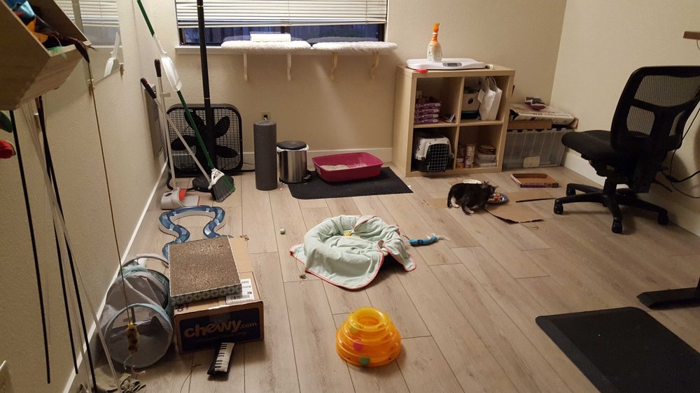 Photo of Budget Flooring