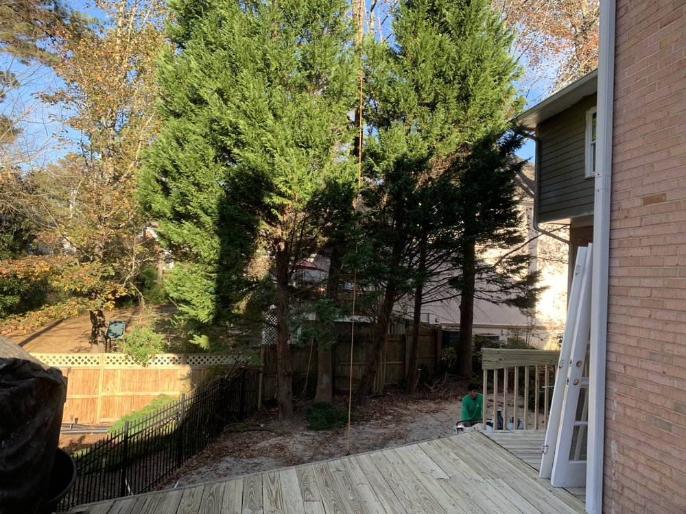 Photo of Jireh Tree Care