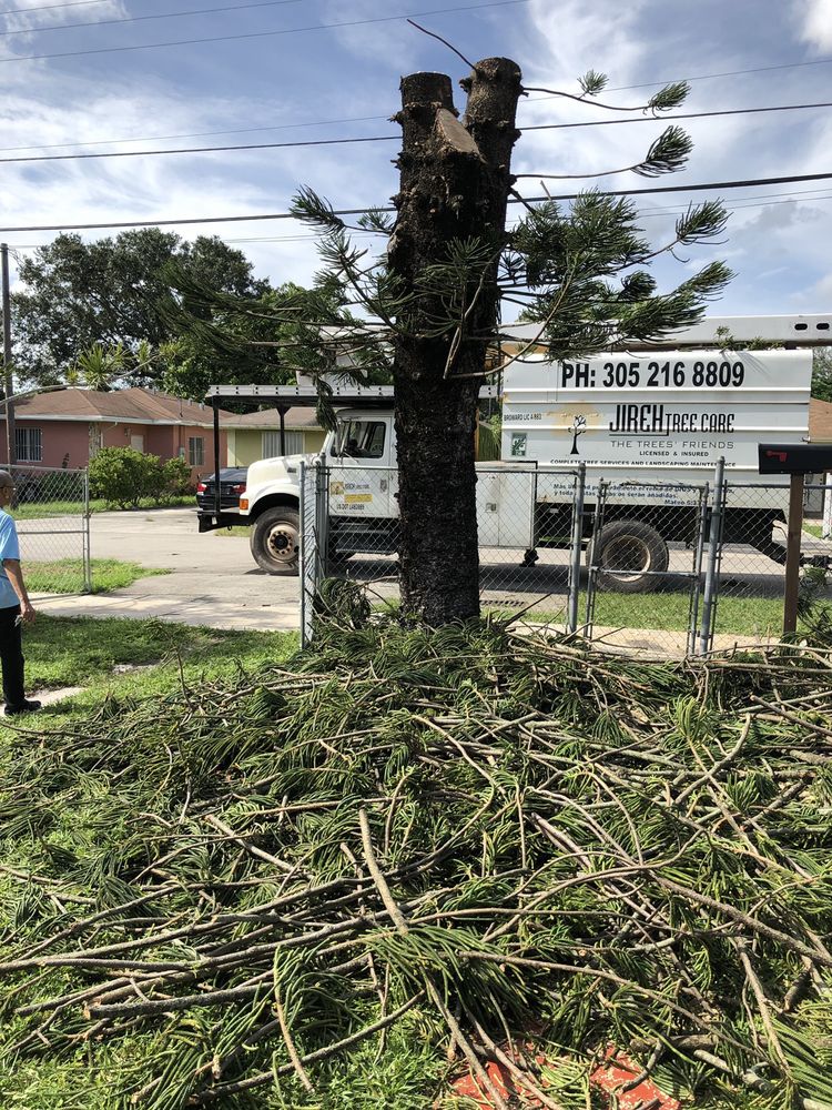 Photo of Jireh Tree Care
