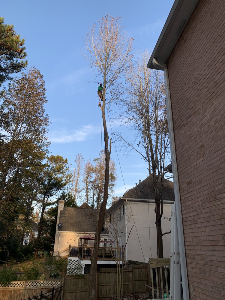 Photo of Jireh Tree Care
