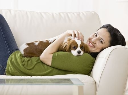Photo of Milwaukee Carpet Cleaning