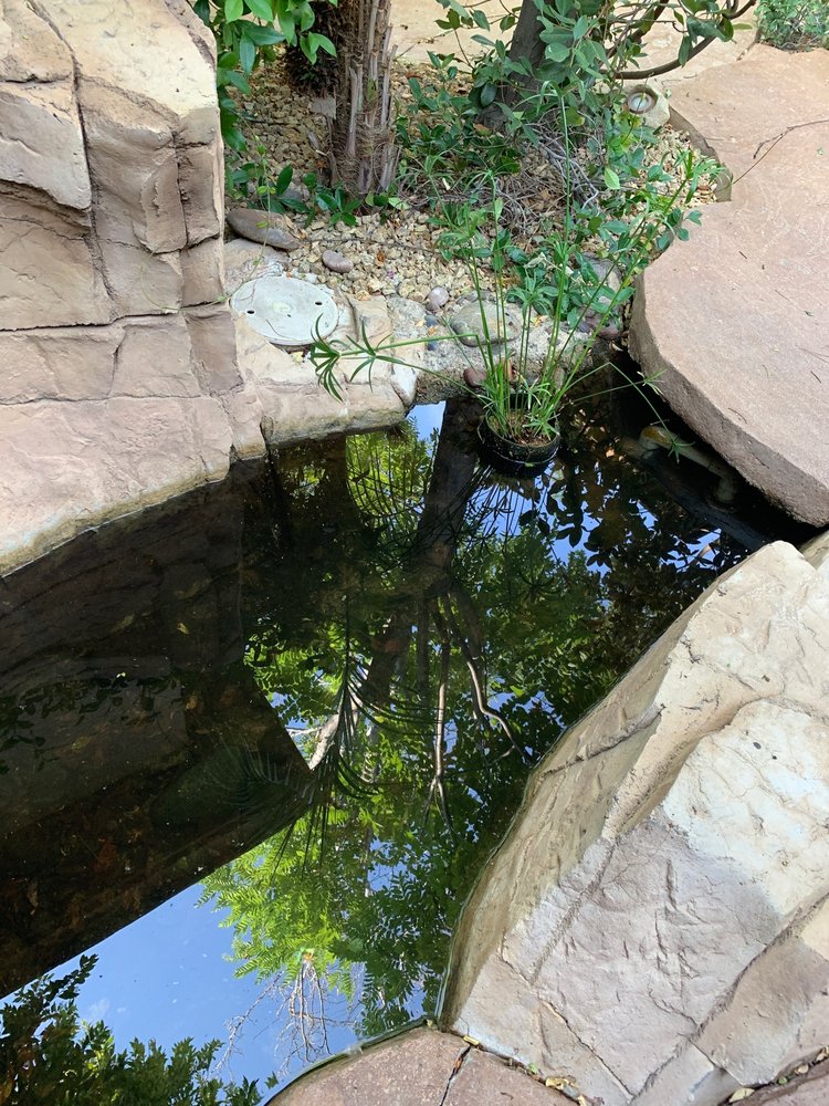 Photo of Las Vegas Koi & Water Gardens