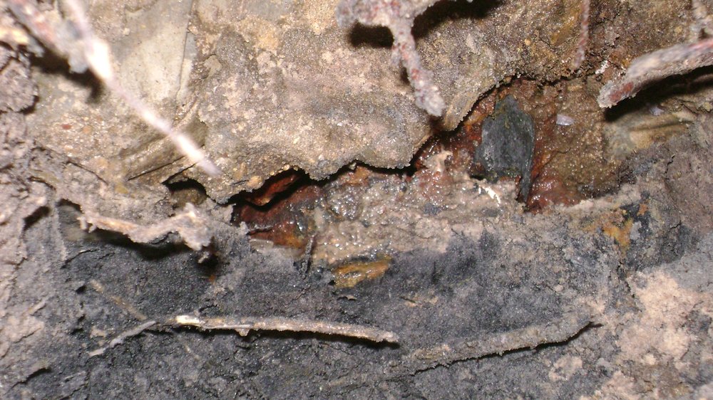 Photo of Buddy's Plumbing