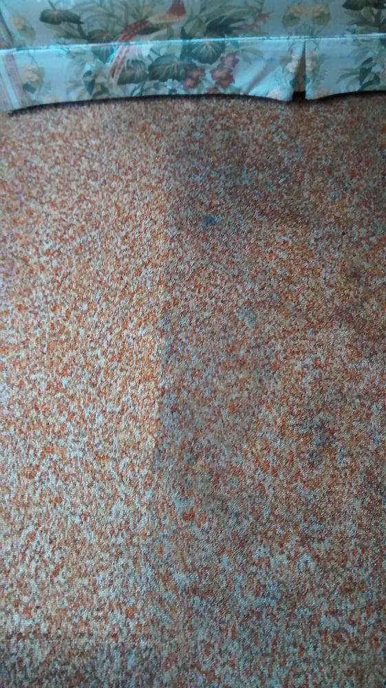 Photo of Top Notch Cleaning & Maintenance