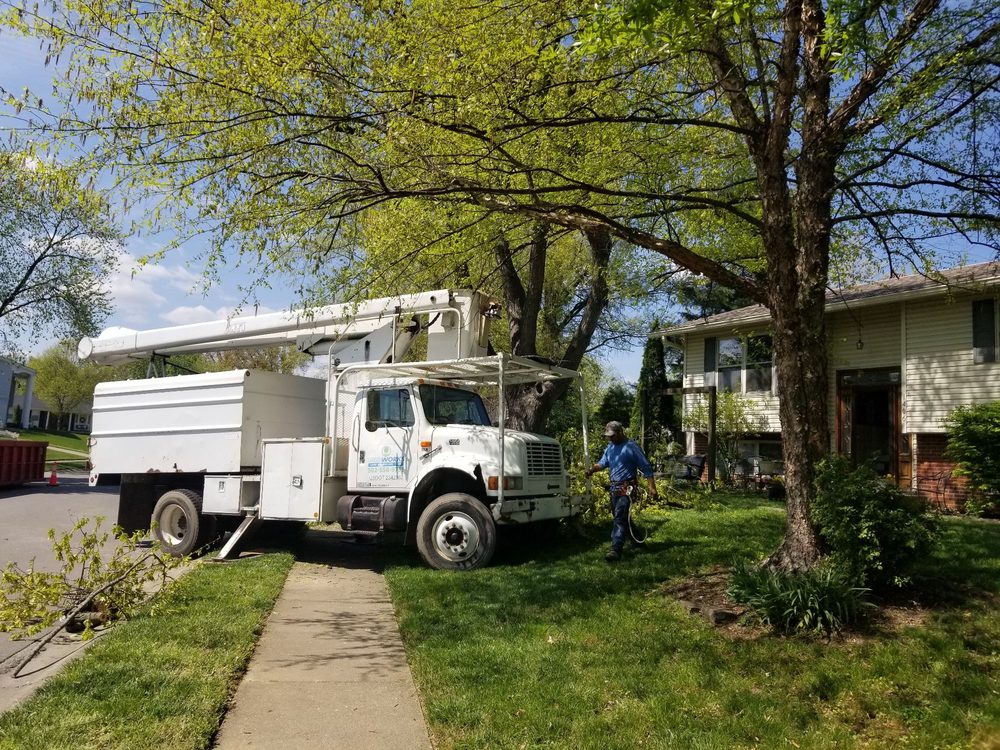 Photo of Greenworks Lawn Landscape & Trees