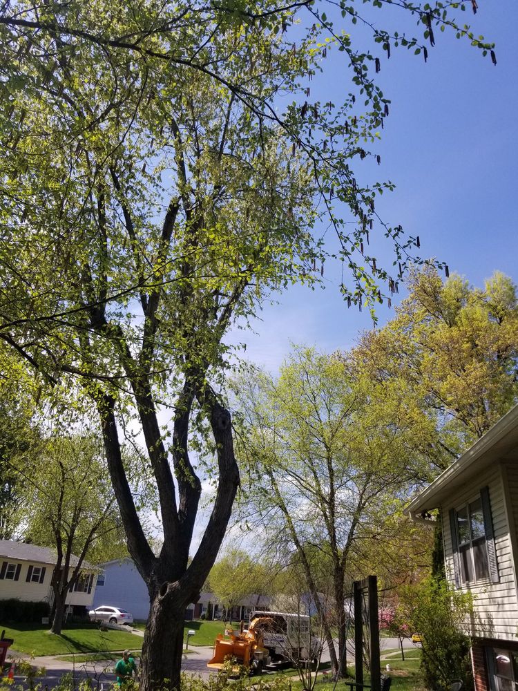 Photo of Greenworks Lawn Landscape & Trees
