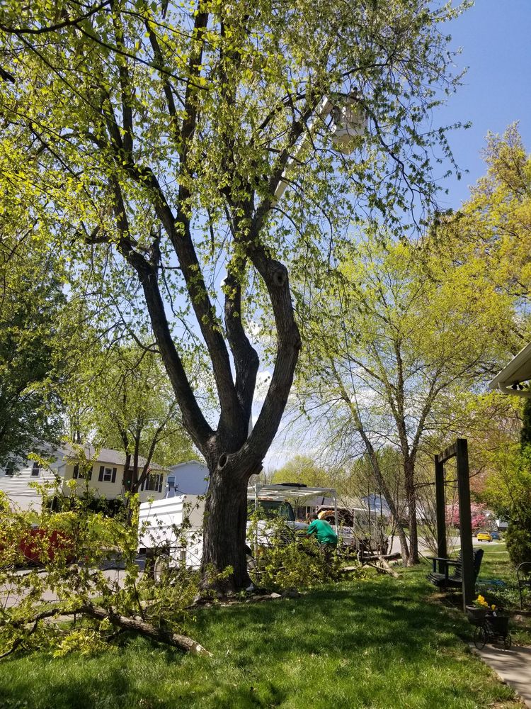 Photo of Greenworks Lawn Landscape & Trees