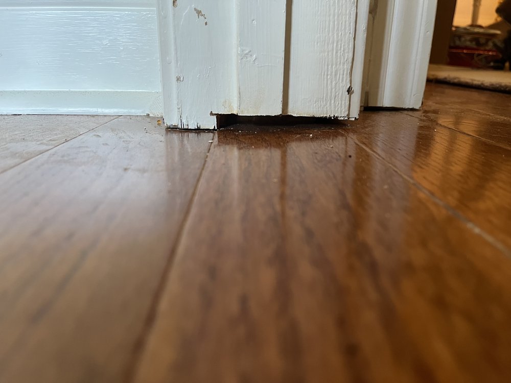 Photo of Melissas Renovation