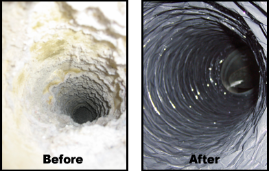 Photo of Lavender Care Air Duct & Carpet Cleaning