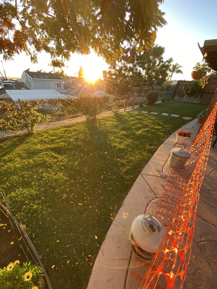 Photo of Blue Star Landscape Construction