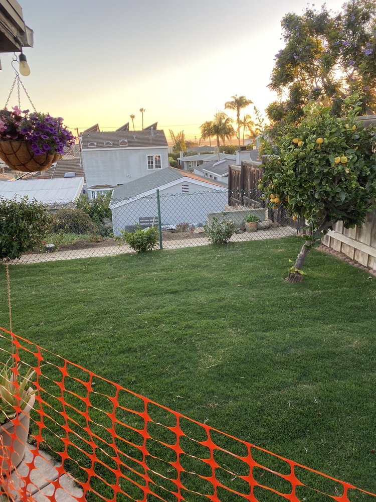 Photo of Blue Star Landscape Construction