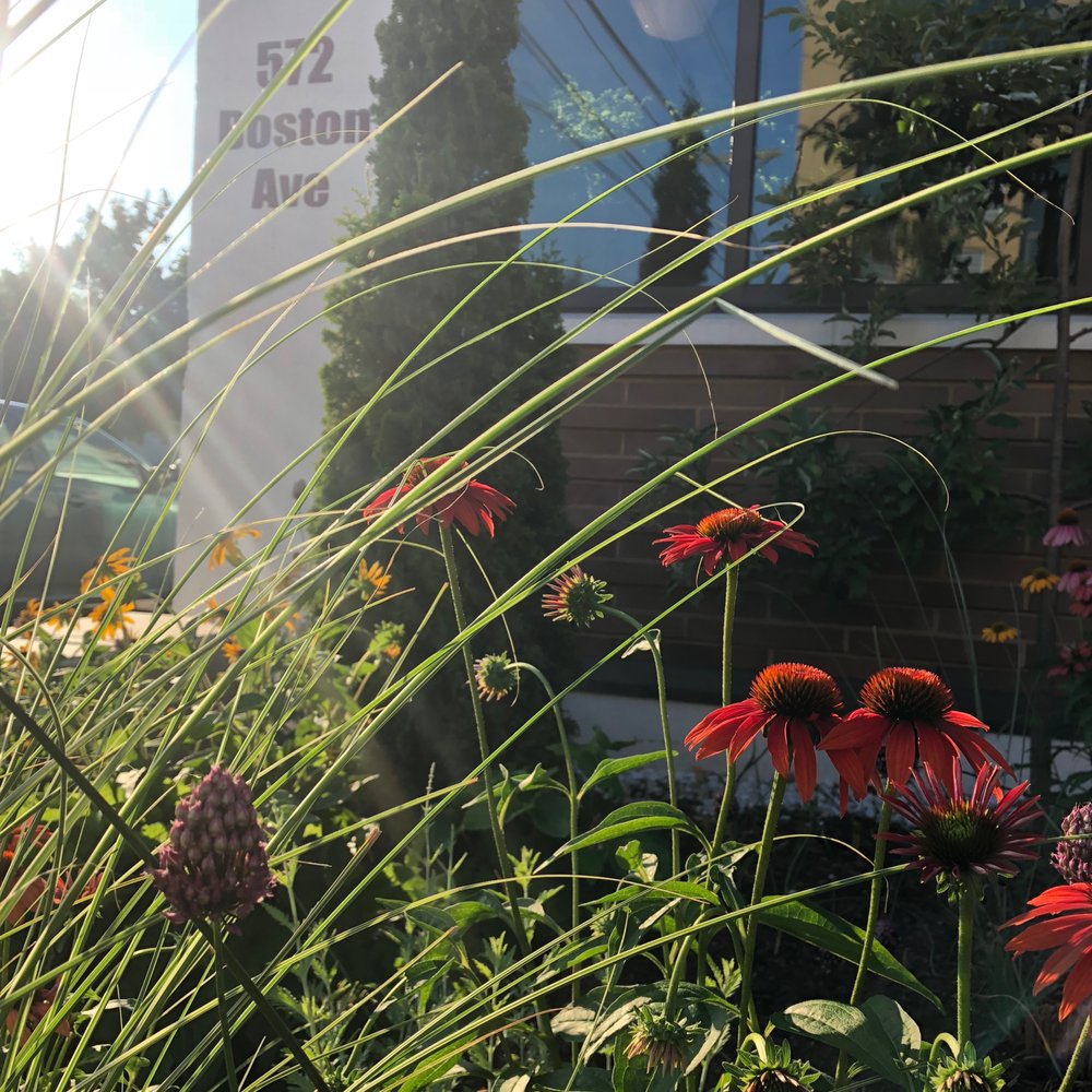 Photo of Generous Earth Gardens