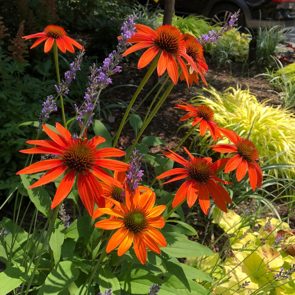 Photo of Generous Earth Gardens