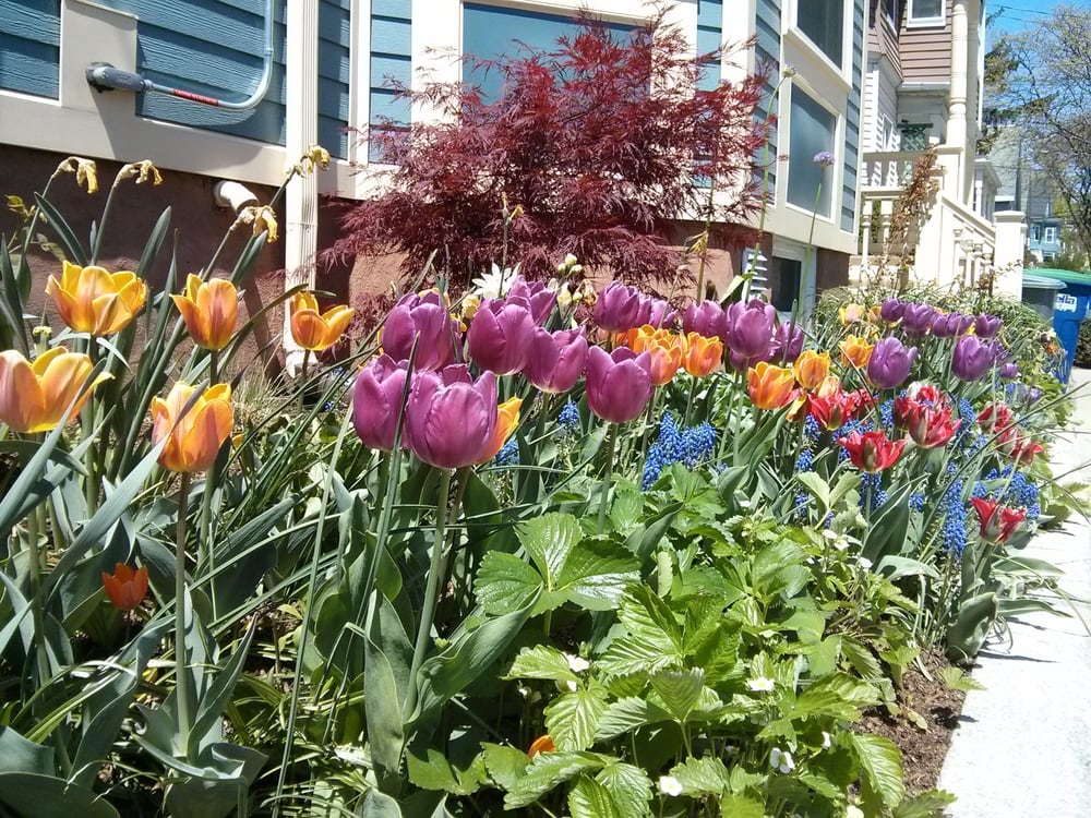 Photo of Generous Earth Gardens