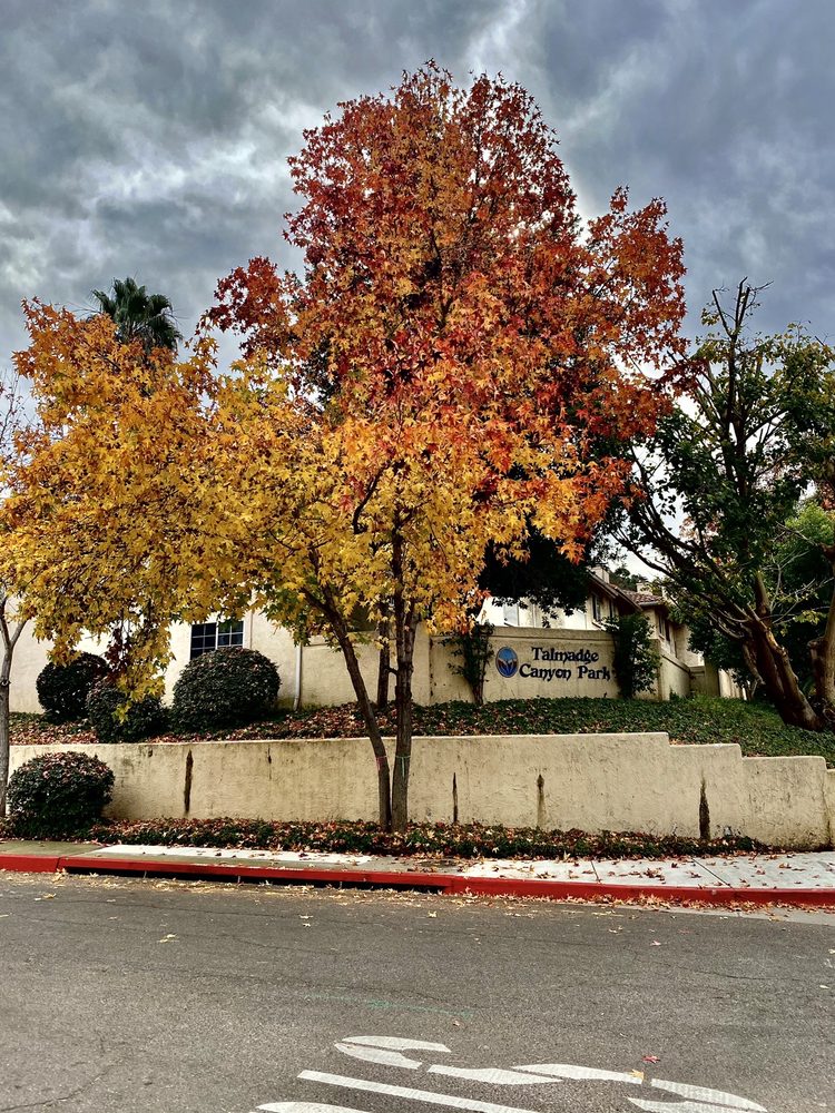 Photo of Talmadge Canyon Park