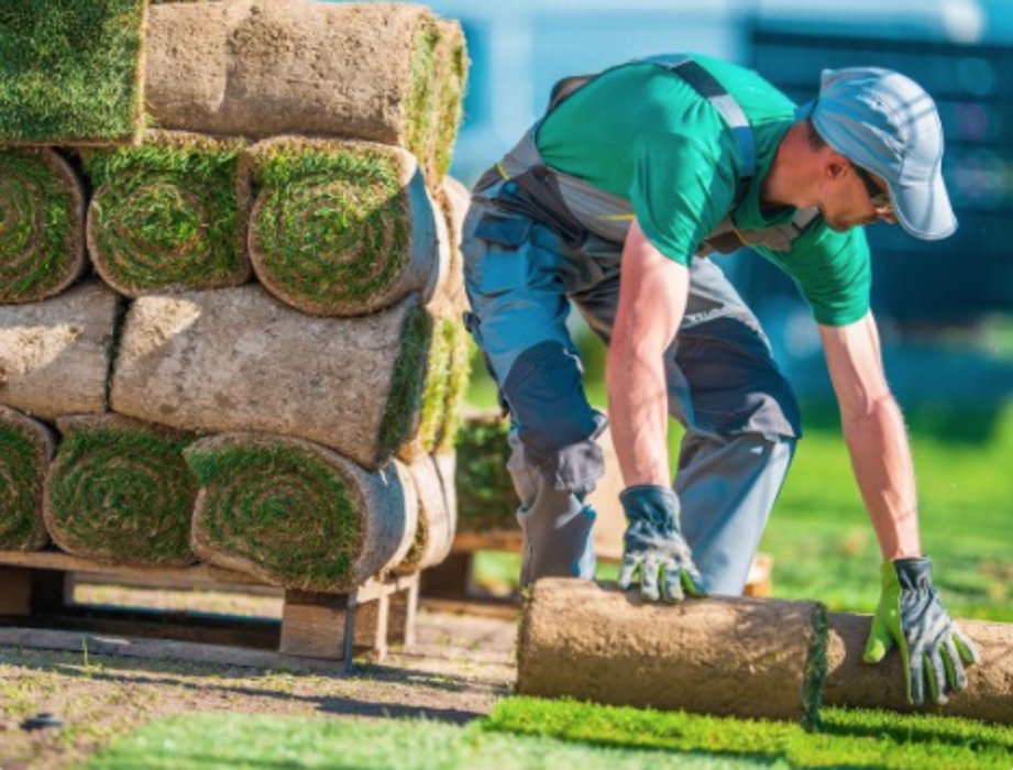 Photo of EcoGreen Landscape Service