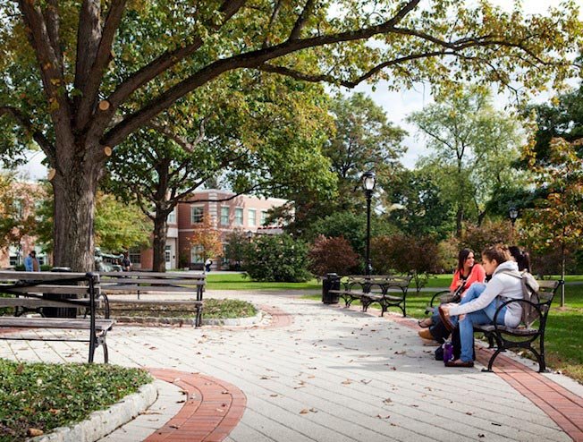 Photo of Davies Associates Landscape Architects