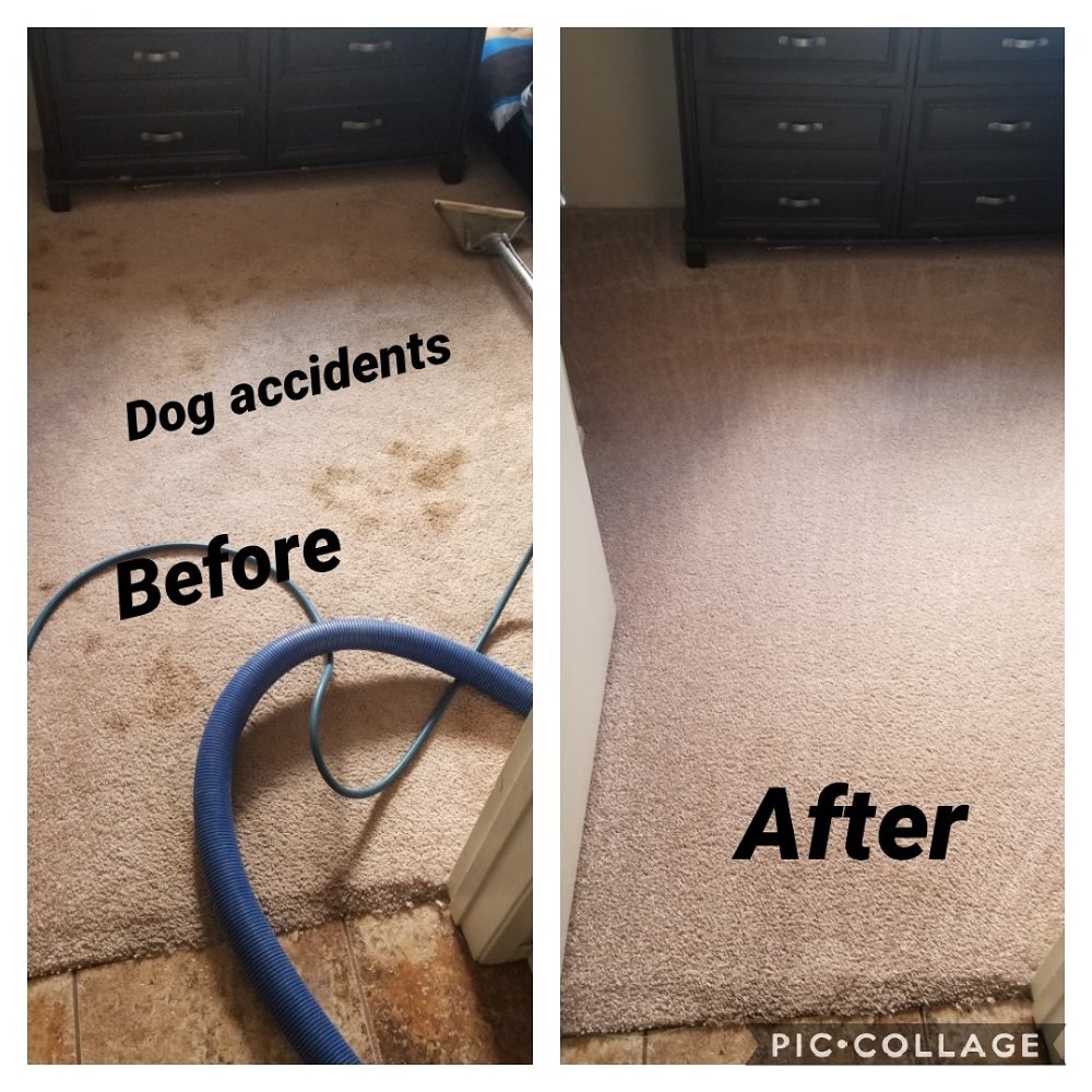 Photo of Cactus Carpet Cleaning