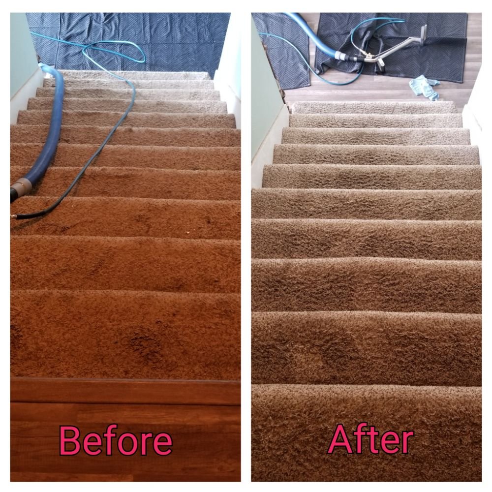 Photo of Cactus Carpet Cleaning