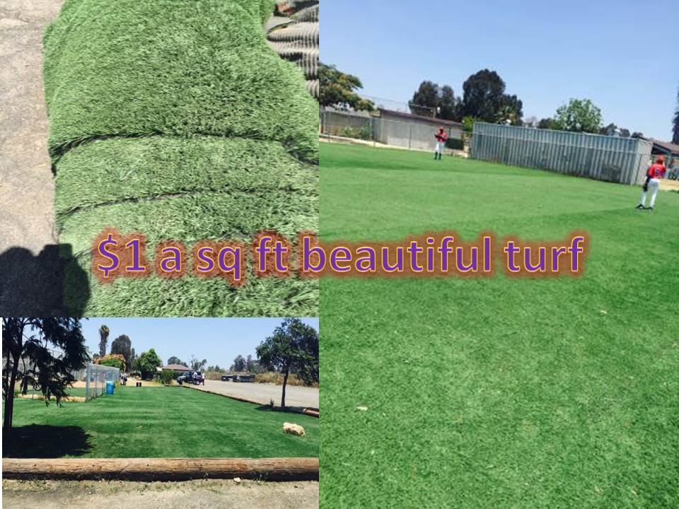 Photo of T's Turf