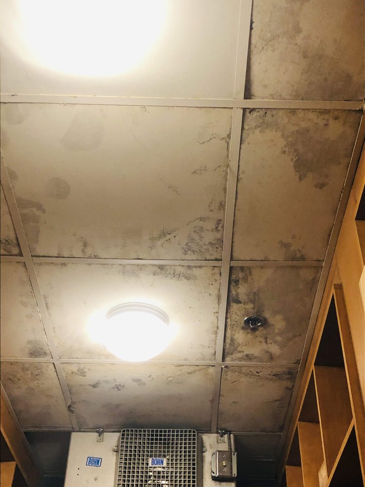 Photo of 911 Water Damage Experts of Memphis