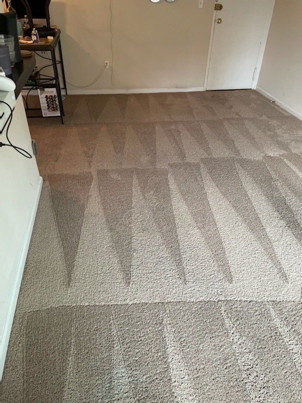 Photo of Oxi Fresh Carpet Cleaning
