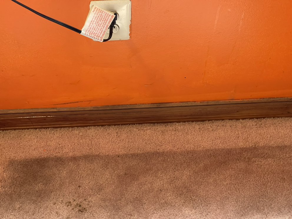 Photo of Oxi Fresh Carpet Cleaning