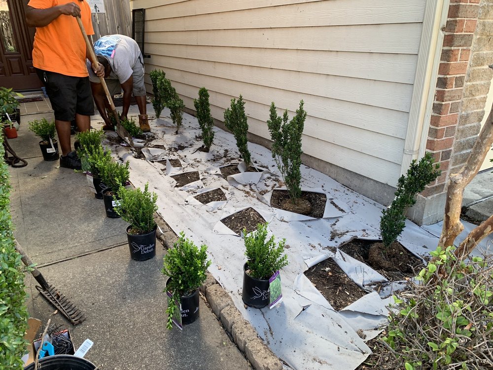Photo of Camron's Precision Landscaping Multi Services