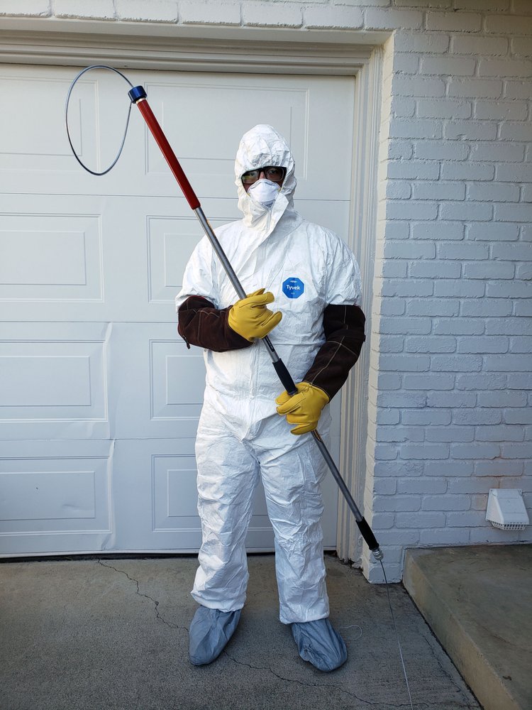 Photo of Artec Pest Control