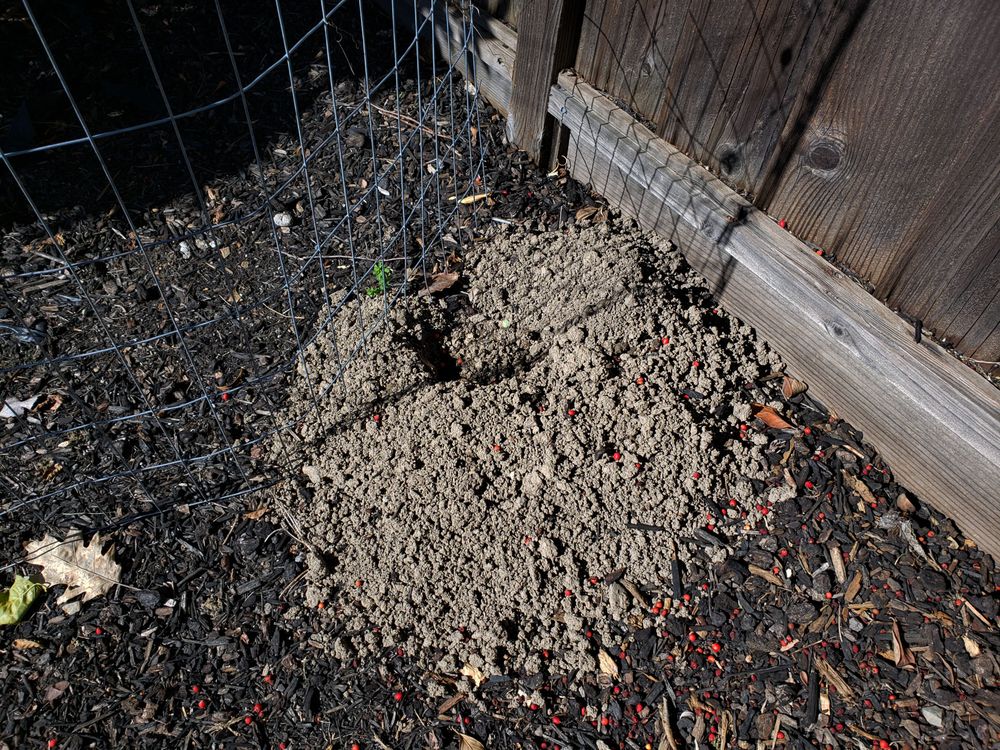 Photo of Artec Pest Control